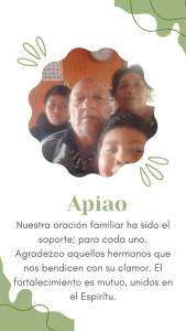 Apiao