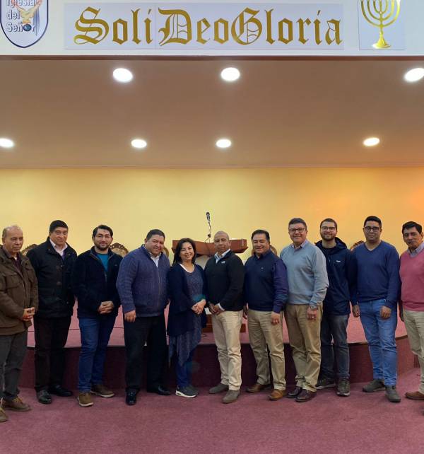 profesores